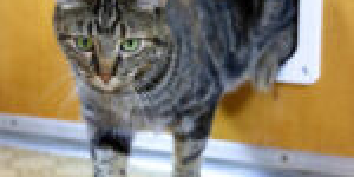 What The Heck What Exactly Is Cat Door Technician?